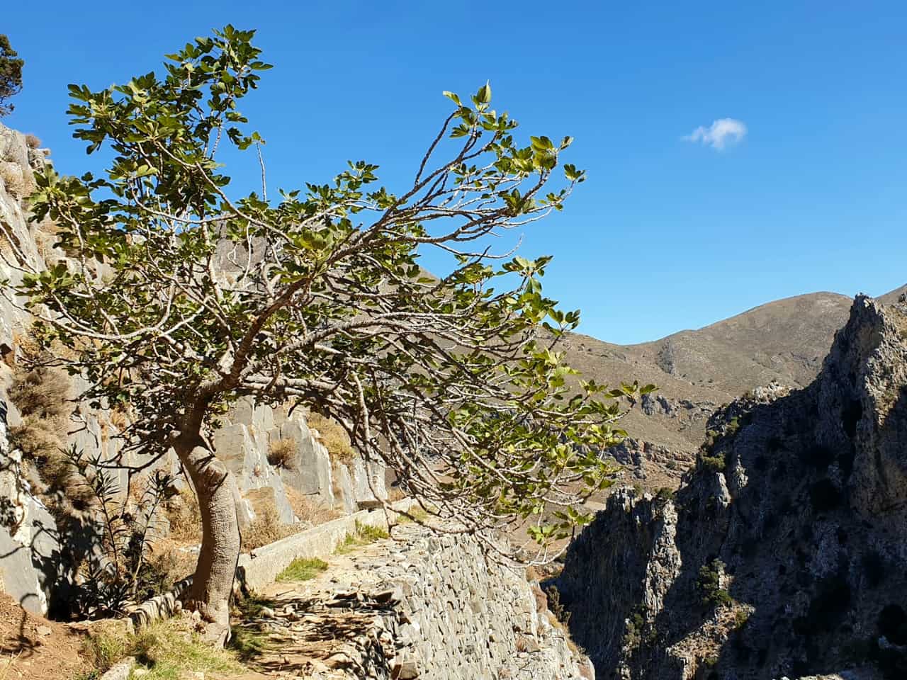 Hiking & Gorges In Crete