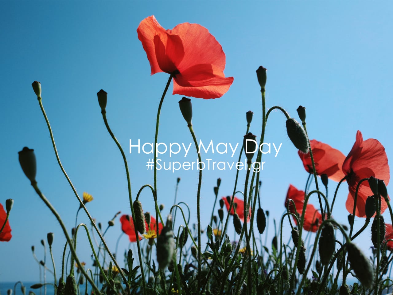 Happy May Day From Sunny Bright Crete
