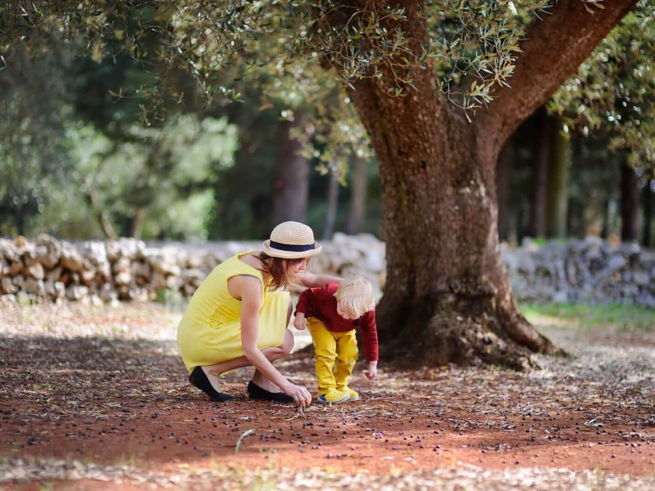 Olive Oil Tasting Tours at Pallada Mill at Akrotiri Chania Crete