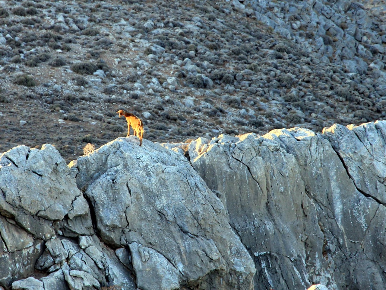 Photo Of Day : Cretan Mountains - Amazing Crete