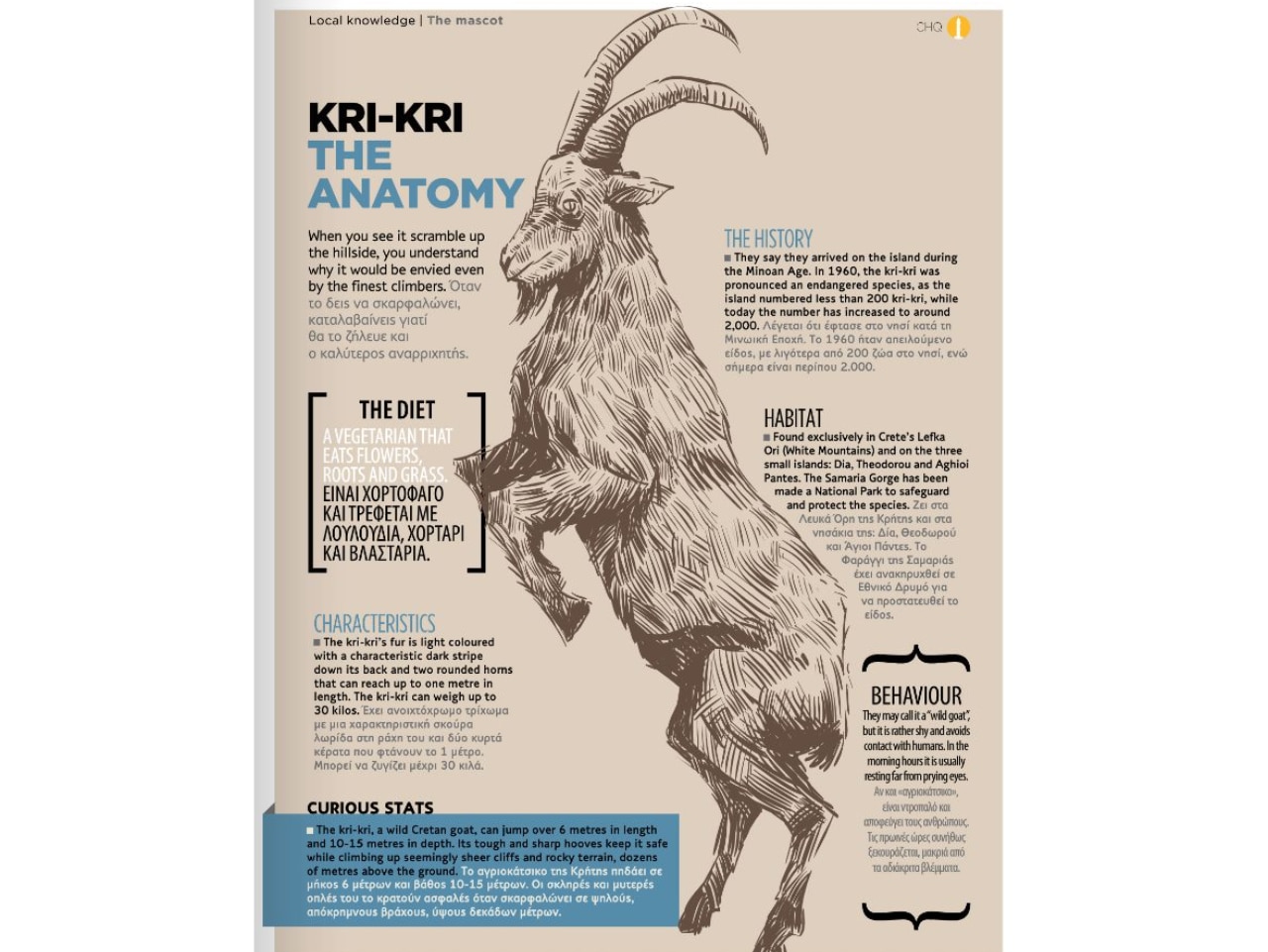 Kri-Kri or Cretan Goat or Agrimi or Cretan Ibex - The Anatomy