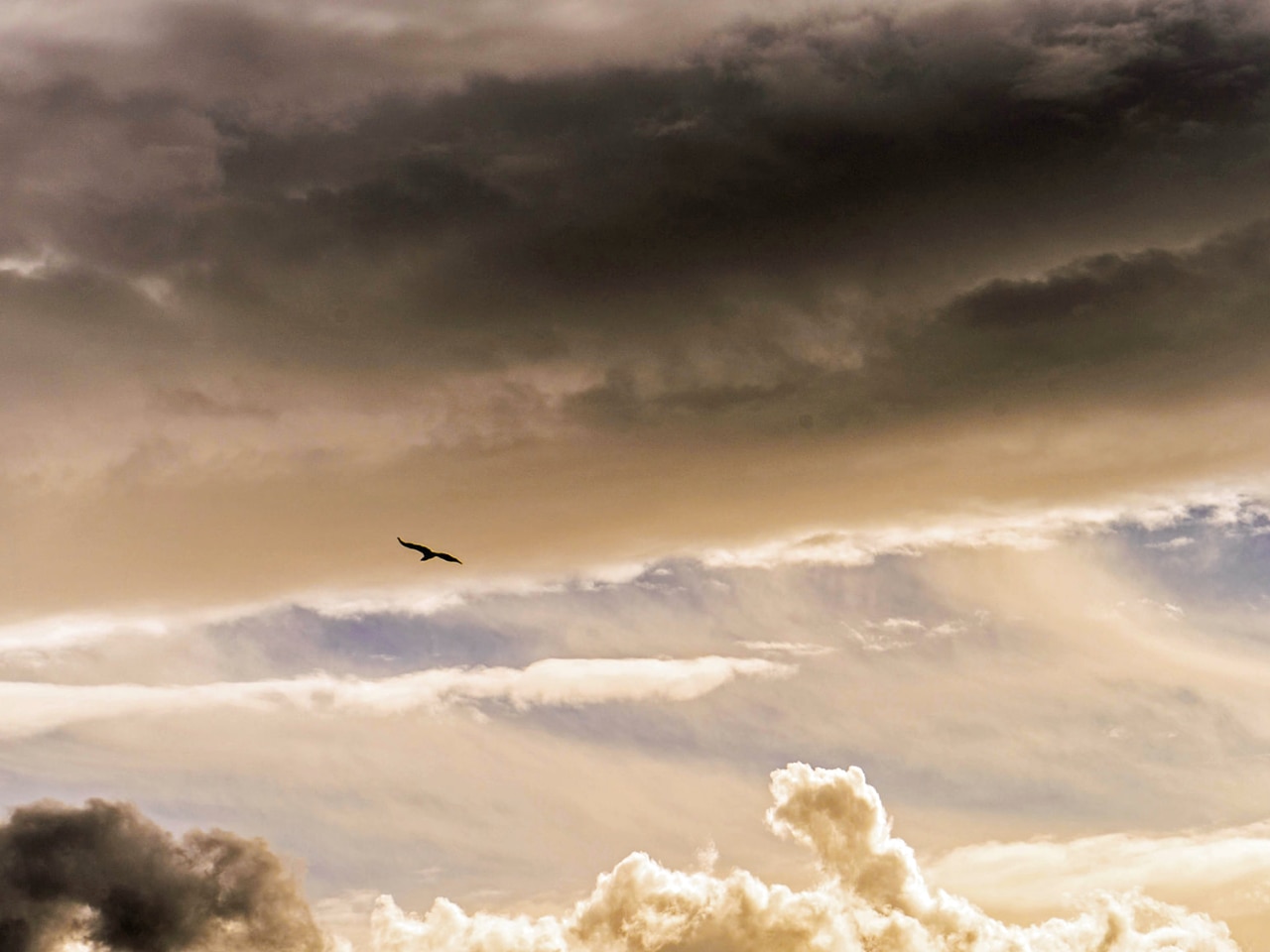 I wish I could fly .... Cretan sky 