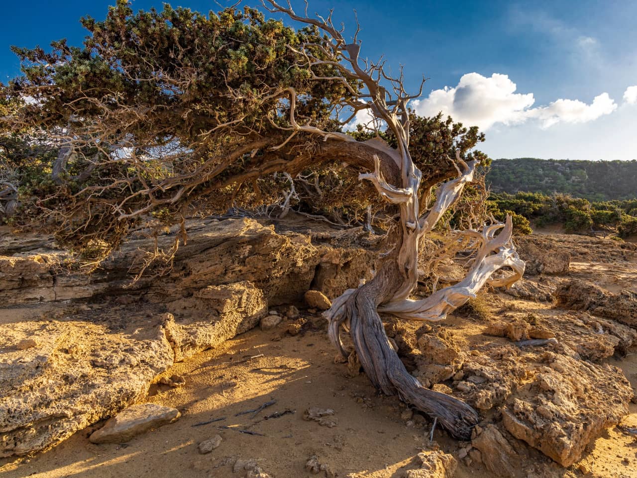 The small island of Gavdos, in south Crete