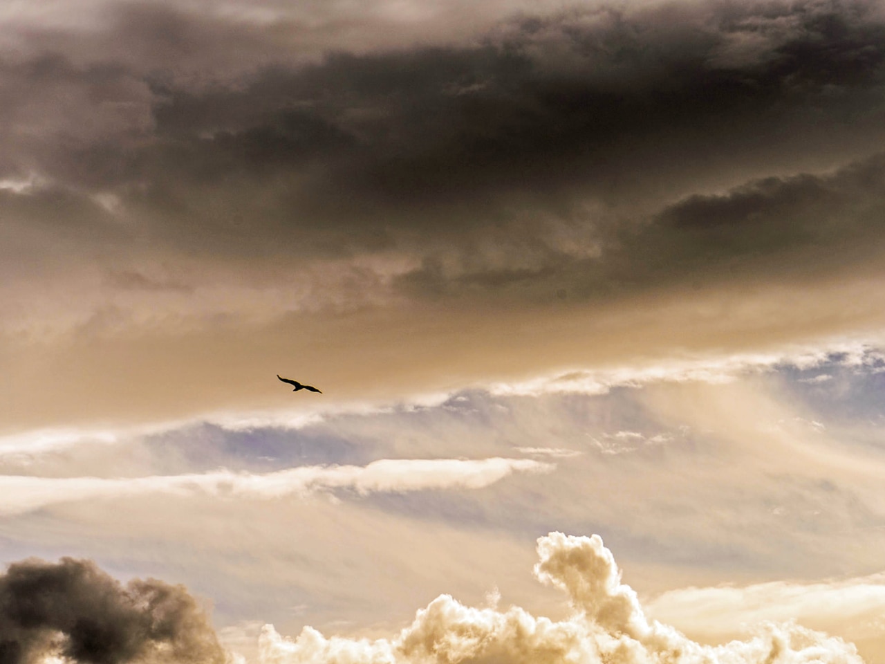 I wish I could fly .... Cretan sky