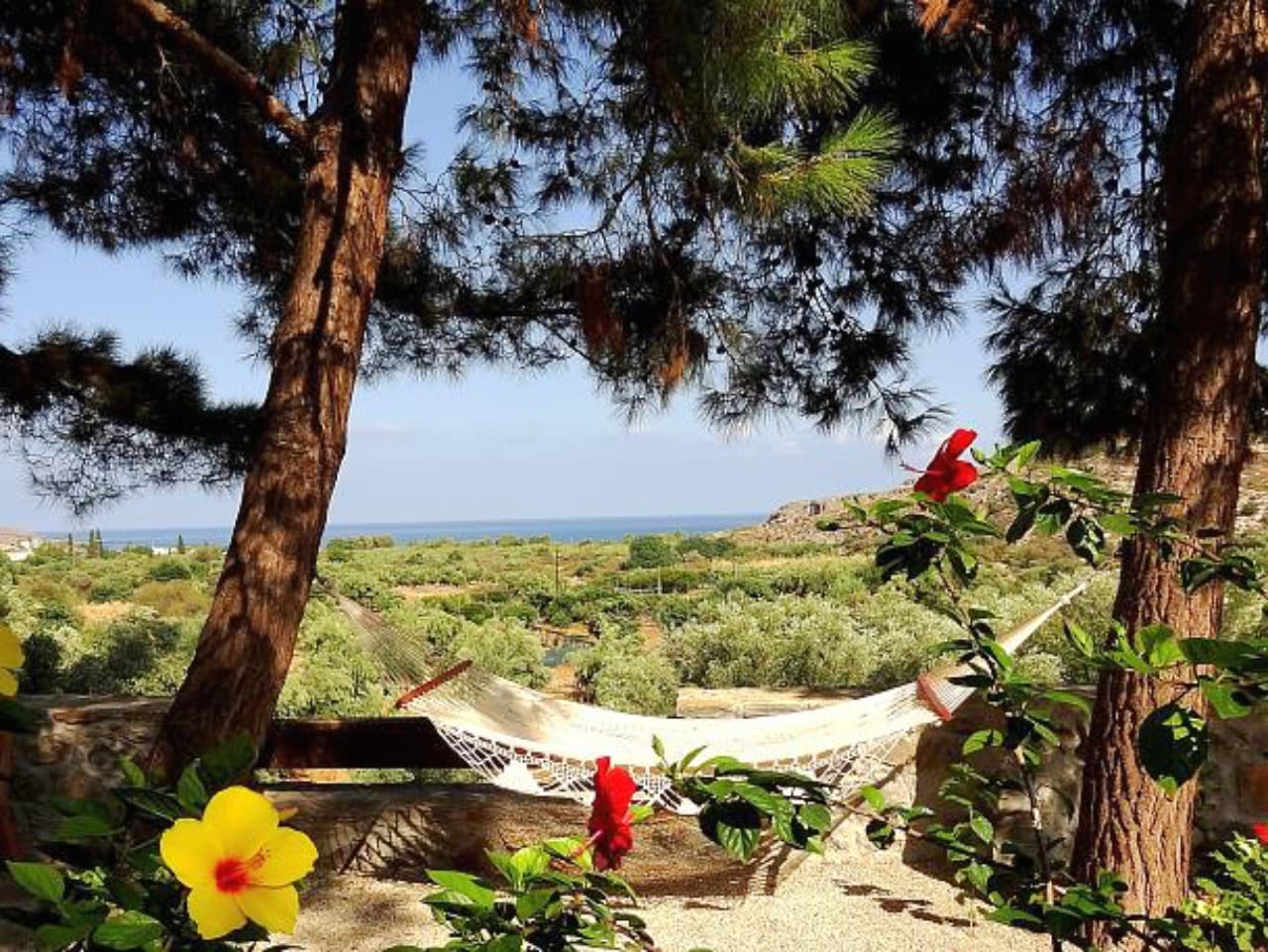 Stay with people who care Stella's Traditional Apartments Kato Zakros