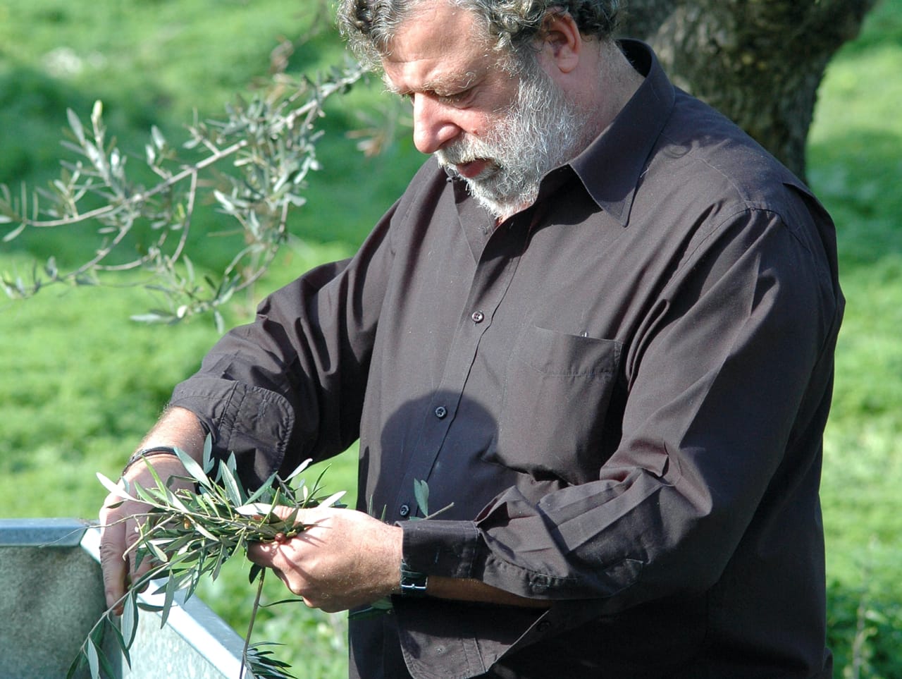 koronekes olive mill archanes village, best olive oil tasting heraklion crete, best olive oil activities crete, spilia village koronekes organic mill, koronekes bio mill, tasting tours koronekes mill, best activities heraklion crete