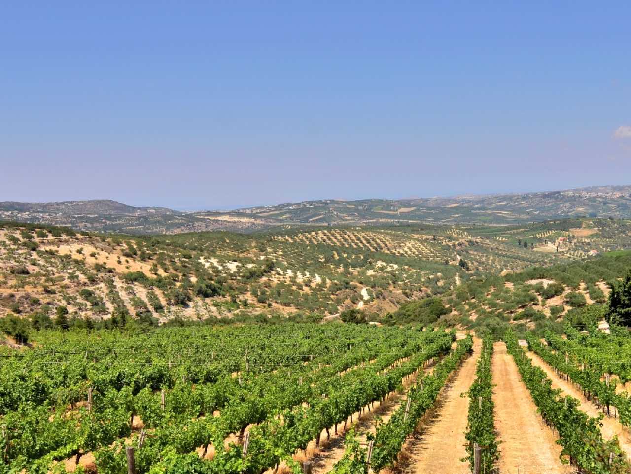 The secret aromas of Cretan wines, A fascinating tour guided by an Enologist, wine tasting workshop heraklion crete, activities heraklion crete, learn more cretan wine, best wine tasting tour crete, things to do heraklion crete, cretan food and wine