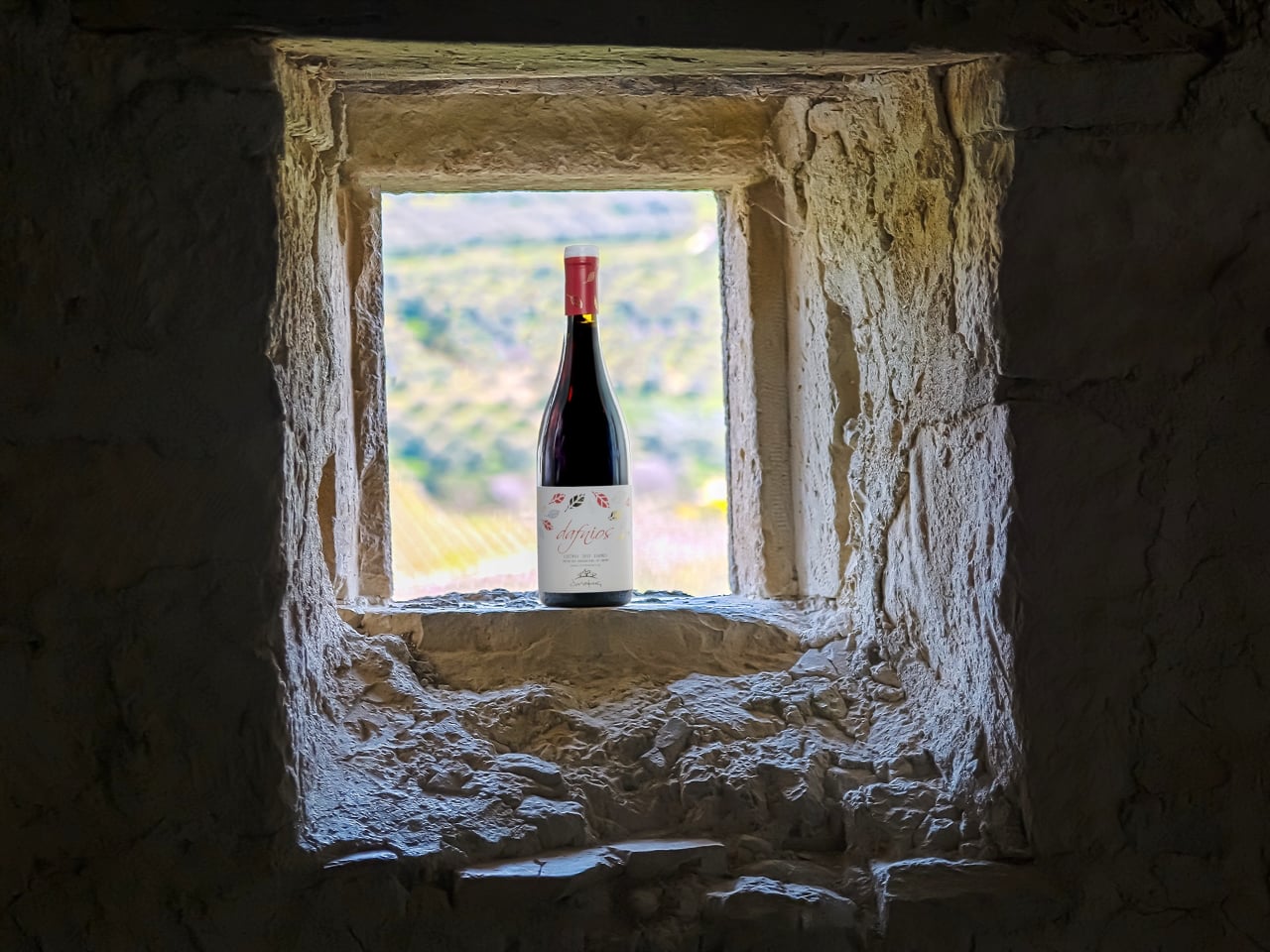 douloufaks winery dafnes heraklion crete, wine tasting heraklion crete, best winery heraklion area, Cretan indigenous varieties, Cretan vineyards, doloufakis winery iraklion crete, activities heraklion crete, things to do nearby heraklion, wineries crete