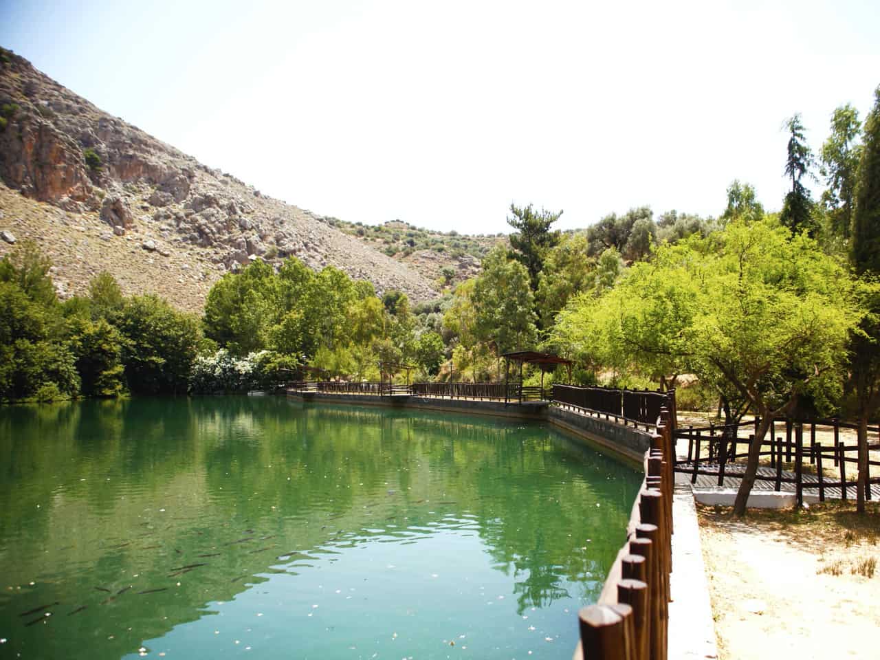 Eleonas Country Hotel Village, eleonas traditional hotel, eleonas traditional cottages, six days hiking eleonas, wild flowers, ancient olive trees and groves, small rivers, monasteries, gorges, secret forests, hidden villages, and old pathways, votomos lake