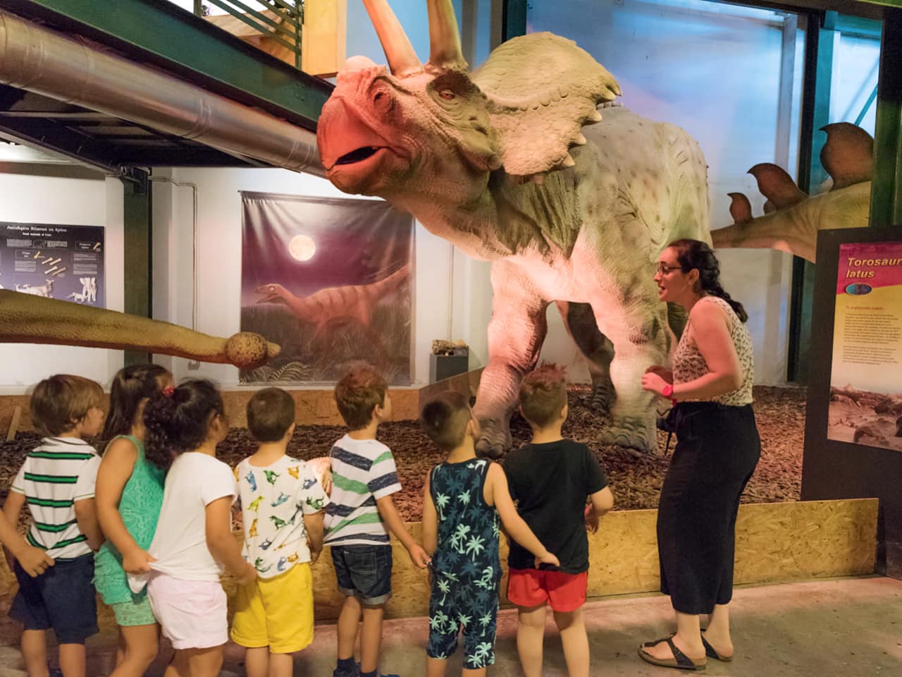 Natural History Museum Heraklion, Explore The Natural Environment Of Crete, things to do heraklion crete, activities heraklion crete, what to do family heraklion, families activities heraklion crete