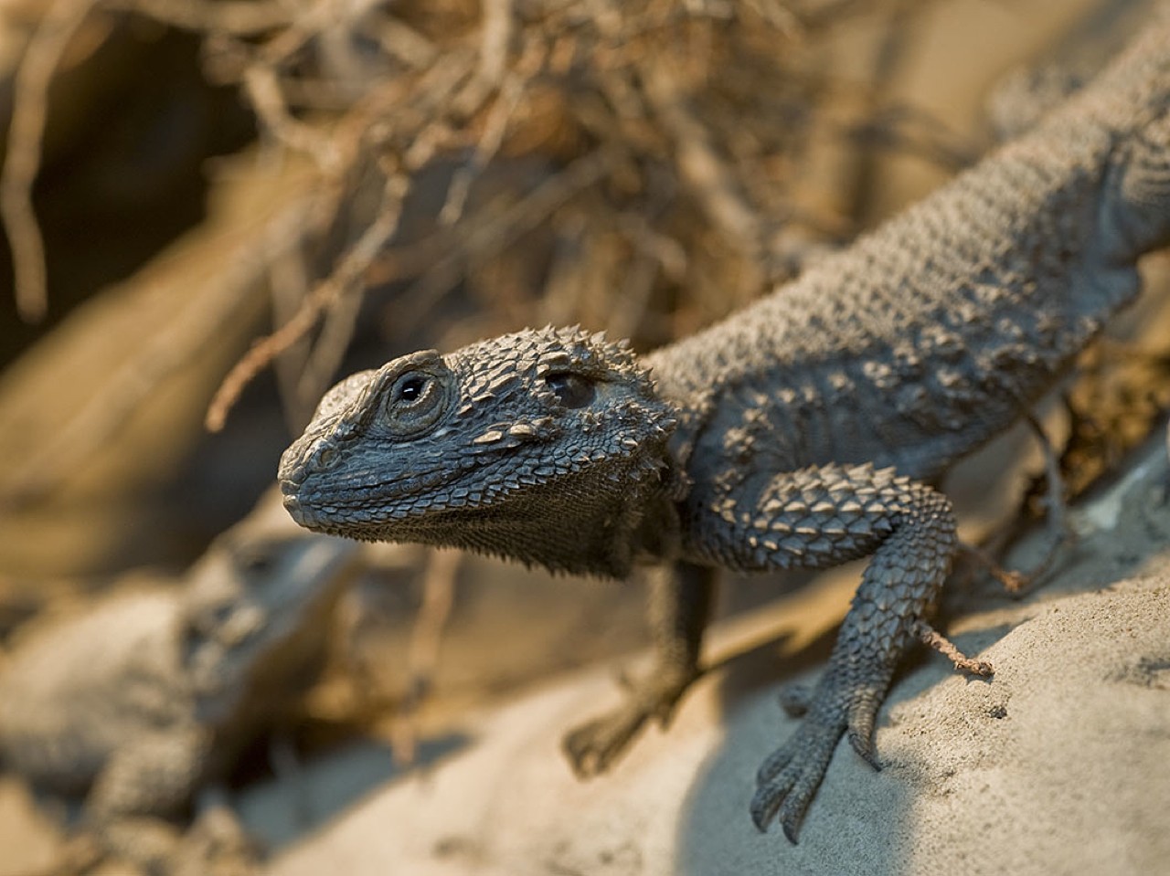 Natural History Museum Heraklion, Explore The Natural Environment Of Crete, things to do heraklion crete, activities heraklion crete, what to do family heraklion, families activities heraklion crete