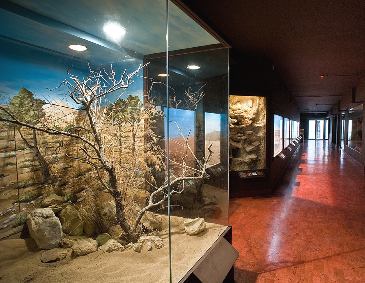 Natural History Museum Heraklion, Explore The Natural Environment Of Crete, things to do heraklion crete, activities heraklion crete, what to do family heraklion, families activities heraklion crete