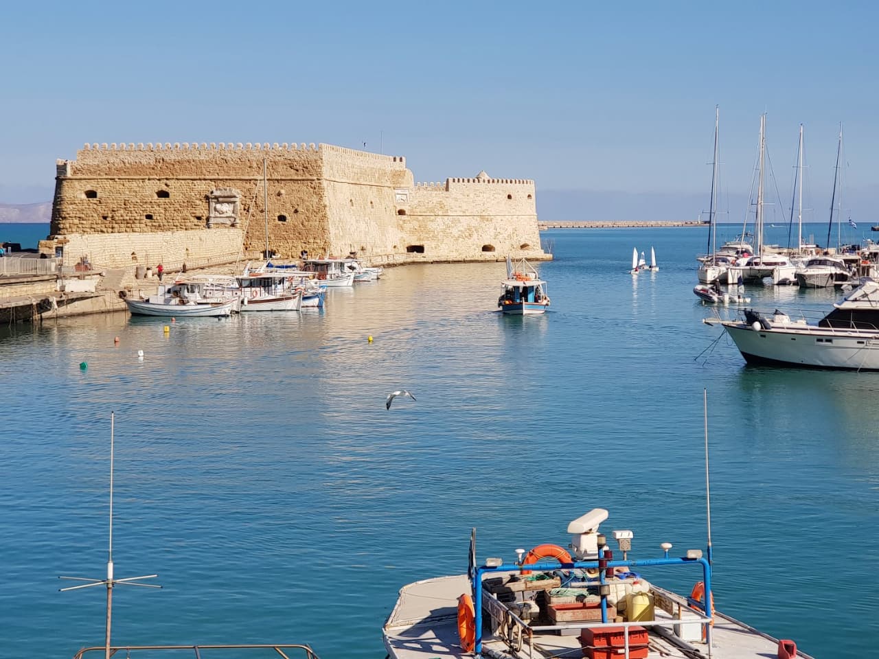 heraklion city walk tour, best city tour heraklion crete, shore excursion heraklion crete, heraklion best walking tour, history sites of heraklion activity, things to do heraklion crete, travel guide heraklion crete, iraklion city walk tour, proffesional guide tour heraklion