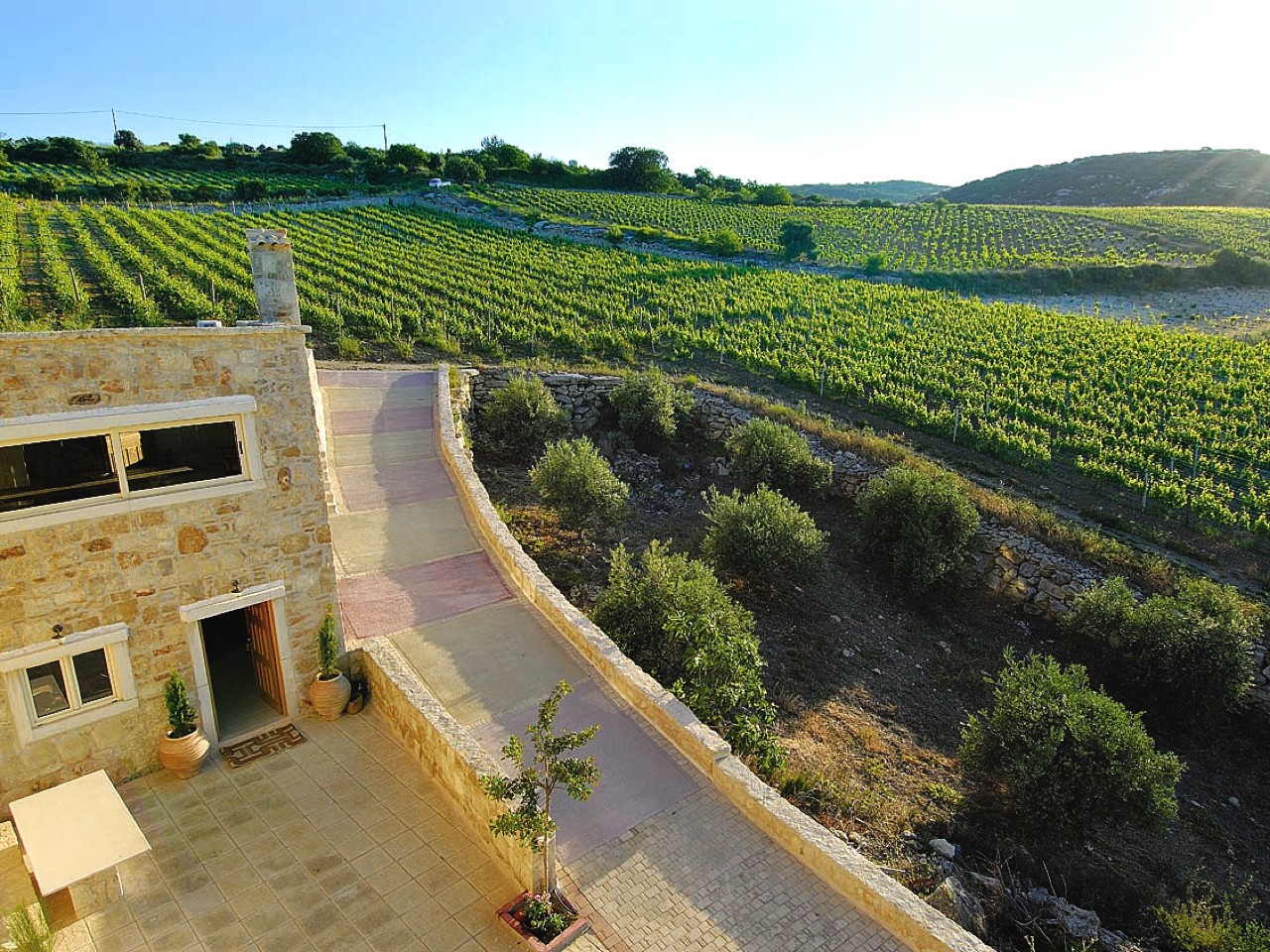 rhous tamiolakis winery heraklion crete, tamiolakis bio wine tasting crete, wine tastings tours crete