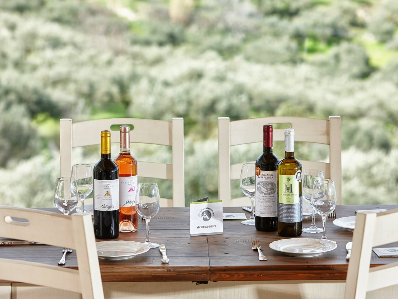 domaine paterianakis wine tasting tours, paterianakis winery lunch tours, bio wine paterianakis winery, organic wine paterianakis, melesses heraklion crete paterianakis, wine tasting tours nearby heraklion, wine tasting tours nearby knossos minoan palace