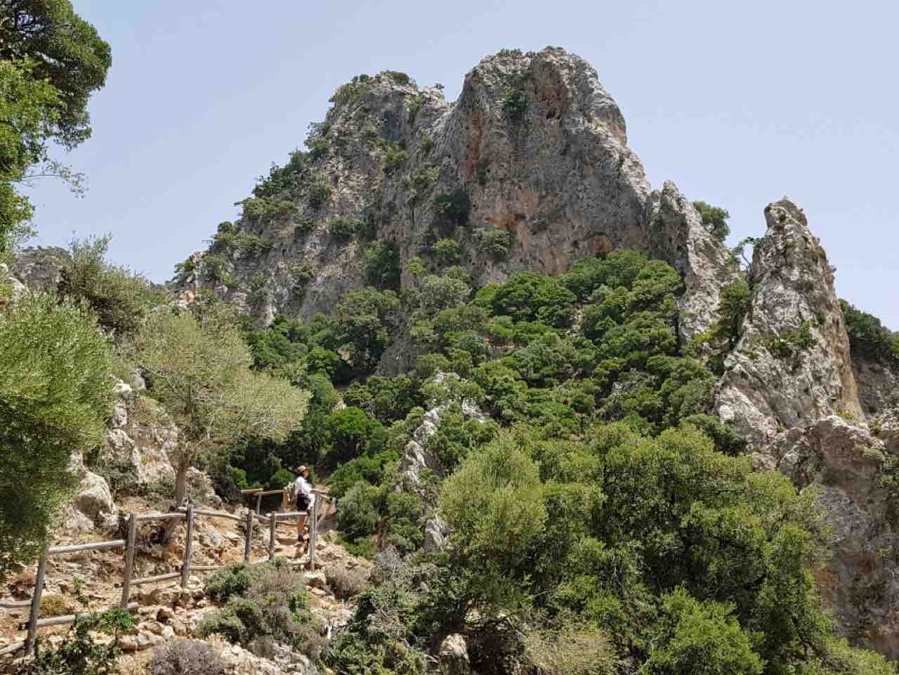 Trekking platania gorge amari, Bird Watching Platania Gorge Amari Valley, rethimno birdwatching, rethymno crete birdwatching, psiloritis geopark crete, natura 2000 crete, unesco geopark crete, activities rethimno crete, nature lovers activities crete