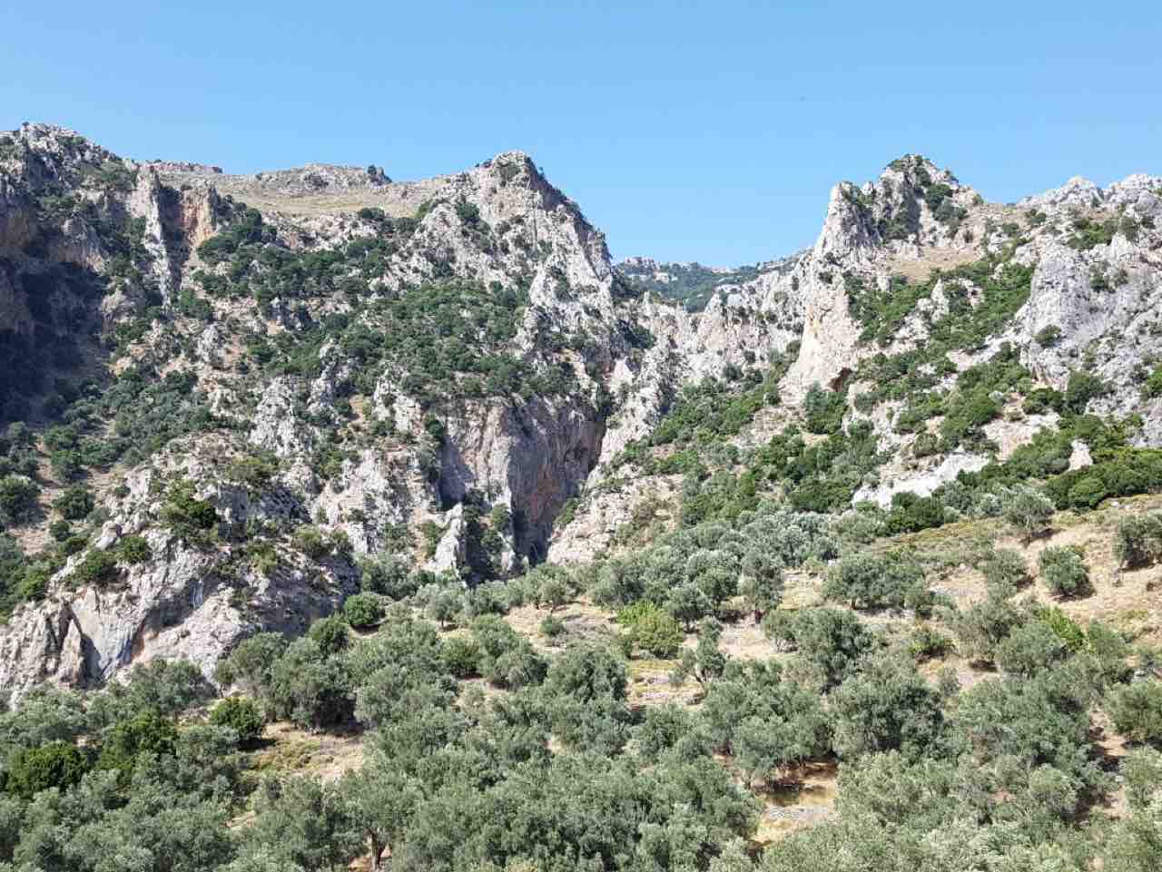 Trekking platania gorge amari, Bird Watching Platania Gorge Amari Valley, rethimno birdwatching, rethymno crete birdwatching, psiloritis geopark crete, natura 2000 crete, unesco geopark crete, activities rethimno crete, nature lovers activities crete