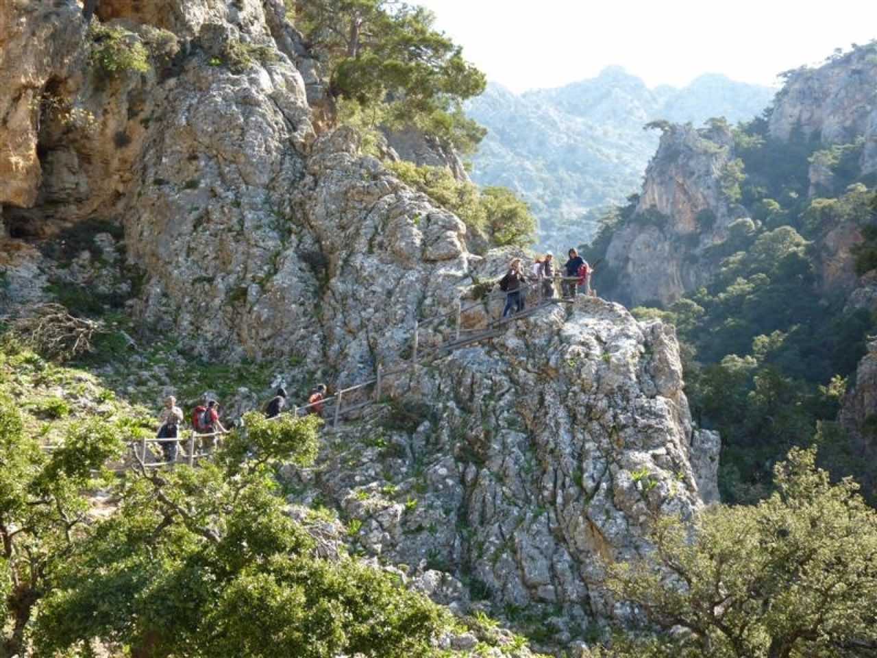 Trekking platania gorge amari, Bird Watching Platania Gorge Amari Valley, rethimno birdwatching, rethymno crete birdwatching, psiloritis geopark crete, natura 2000 crete, unesco geopark crete, activities rethimno crete, nature lovers activities crete