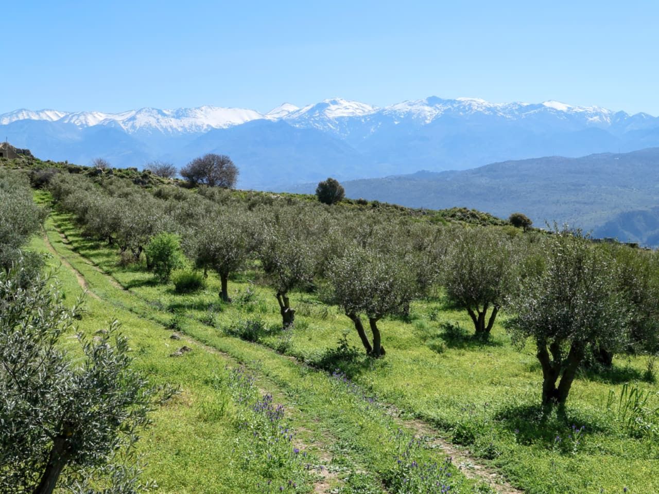 Most fascinating e-bike experience and love story in central Crete, ebike tours crete, episkopi crete e-bike tour, crete travel, crete activities, bicycle tour heraklion crete, e bicycle tours crete, crete cycling
