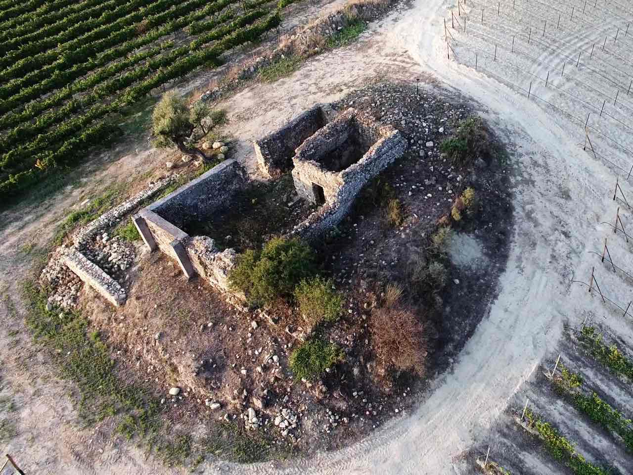 gavalas winery heraklion crete, gavalas winery Vorias Village, Moschato Spina and Sauvignon blanc gavalas wine tasting, best wine tasting crete, bio wine tasting, organic farming system DIO and ISO, organic wine crete iraklion, organic wine tastings crete, activities crete