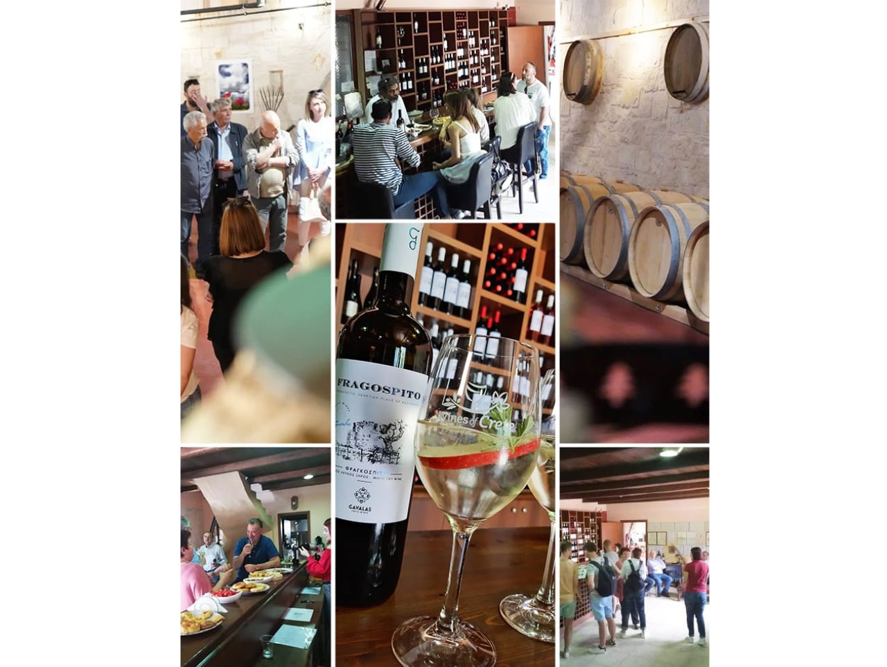 gavalas winery heraklion crete, gavalas winery Vorias Village, Moschato Spina and Sauvignon blanc gavalas wine tasting, best wine tasting crete, bio wine tasting, organic farming system DIO and ISO, organic wine crete iraklion, organic wine tastings crete, activities crete