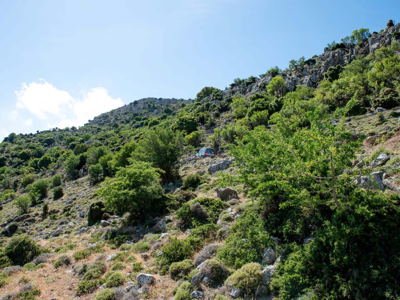 Traditional Cooking Lesson a Mitato Shepherds Hut, kroustas village cooking lesson, kroustas forest jeep safari, kroustas traditional cooking lesson, cretan gastronomy, cretan cheeses, adventurous jeep safari crete, cook like a local crete