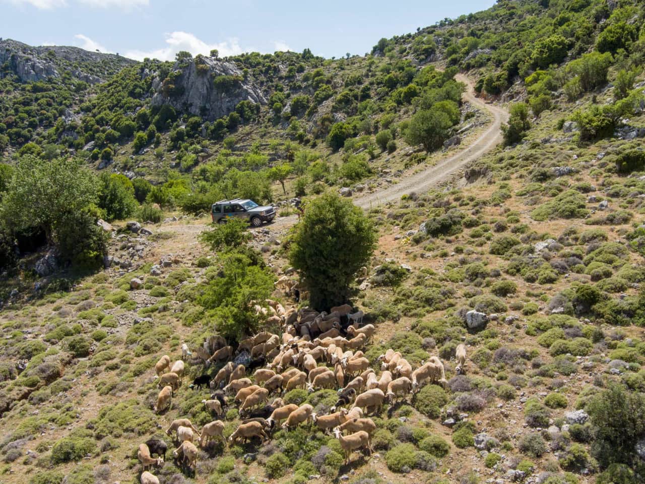 Traditional Cooking Lesson a Mitato Shepherds Hut, kroustas village cooking lesson, kroustas forest jeep safari, kroustas traditional cooking lesson, cretan gastronomy, cretan cheeses, adventurous jeep safari crete, cook like a local crete