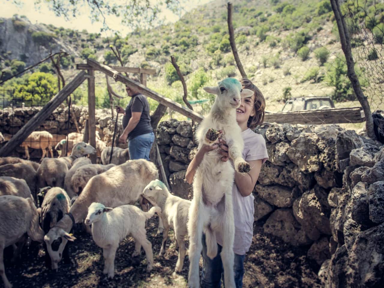 Traditional Cooking Lesson a Mitato Shepherds Hut, kroustas village cooking lesson, kroustas forest jeep safari, kroustas traditional cooking lesson, cretan gastronomy, cretan cheeses, adventurous jeep safari crete, cook like a local crete