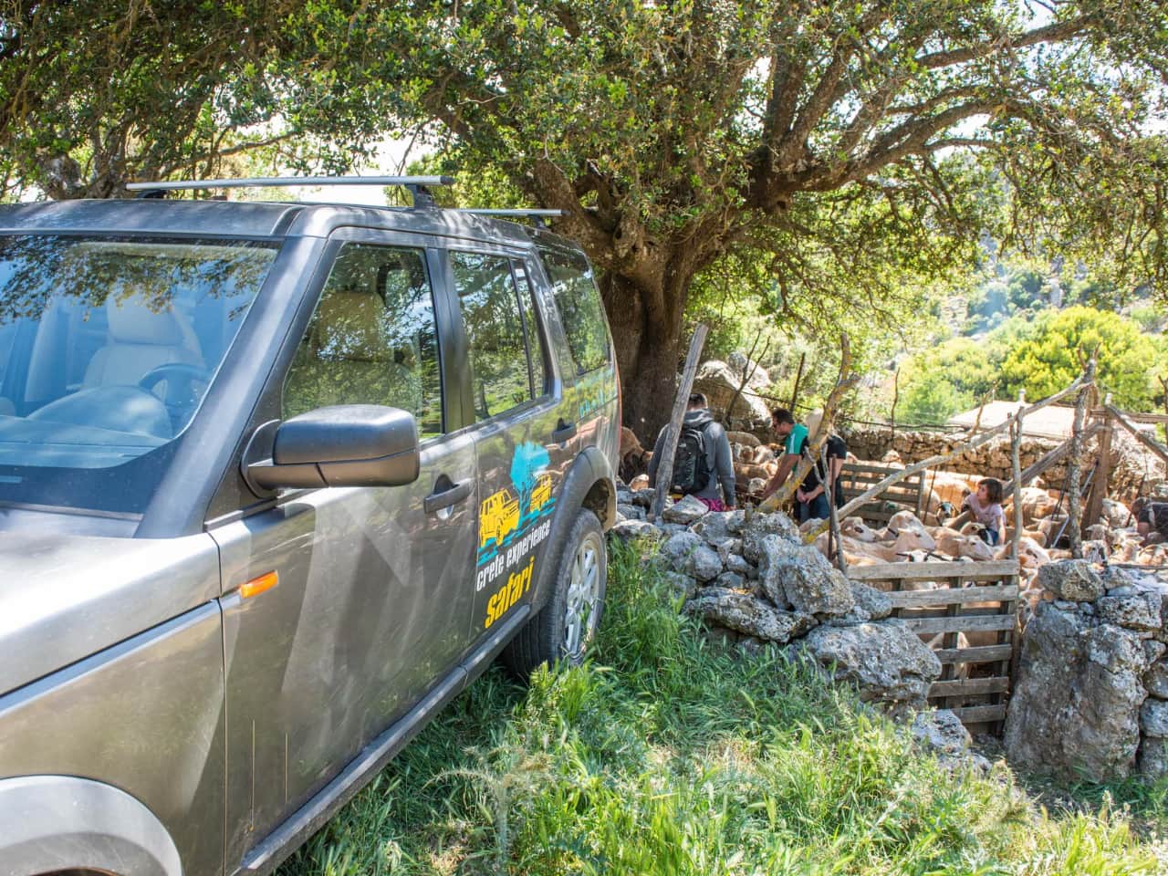 Traditional Cooking Lesson a Mitato Shepherds Hut, kroustas village cooking lesson, kroustas forest jeep safari, kroustas traditional cooking lesson, cretan gastronomy, cretan cheeses, adventurous jeep safari crete, cook like a local crete