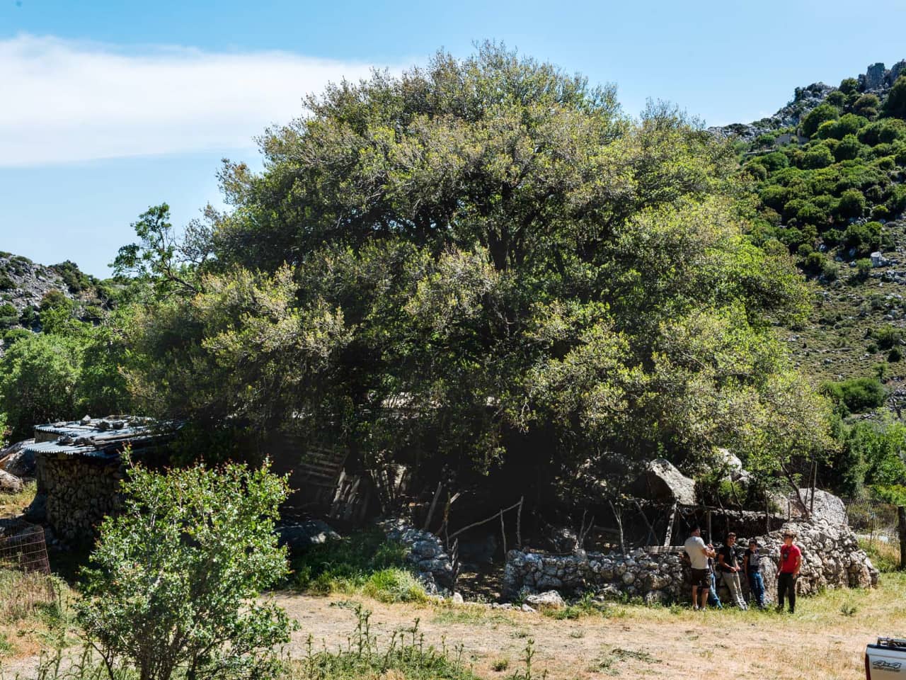 Traditional Cooking Lesson a Mitato Shepherds Hut, kroustas village cooking lesson, kroustas forest jeep safari, kroustas traditional cooking lesson, cretan gastronomy, cretan cheeses, adventurous jeep safari crete, cook like a local crete