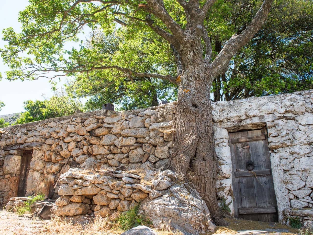 Traditional Cooking Lesson a Mitato Shepherds Hut, kroustas village cooking lesson, kroustas forest jeep safari, kroustas traditional cooking lesson, cretan gastronomy, cretan cheeses, adventurous jeep safari crete, cook like a local crete