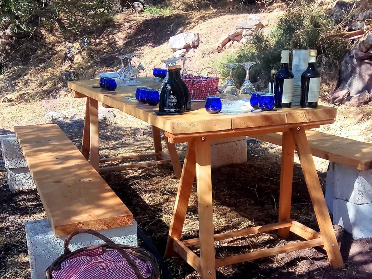 Olive oil tasting zakros, kato zakros olive oil tasting, east crete olive oil tasting, taxidi extra virgin olive oil, taxidi olive farm zakros, zakros crete olive oil tasting, crete travel, crete best activities, activities by locals