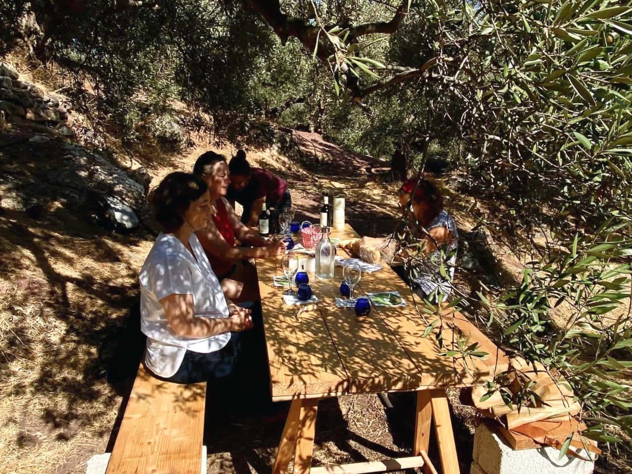 Olive oil tasting zakros, kato zakros olive oil tasting, east crete olive oil tasting, taxidi extra virgin olive oil, taxidi olive farm zakros, zakros crete olive oil tasting, crete travel, crete best activities, activities by locals
