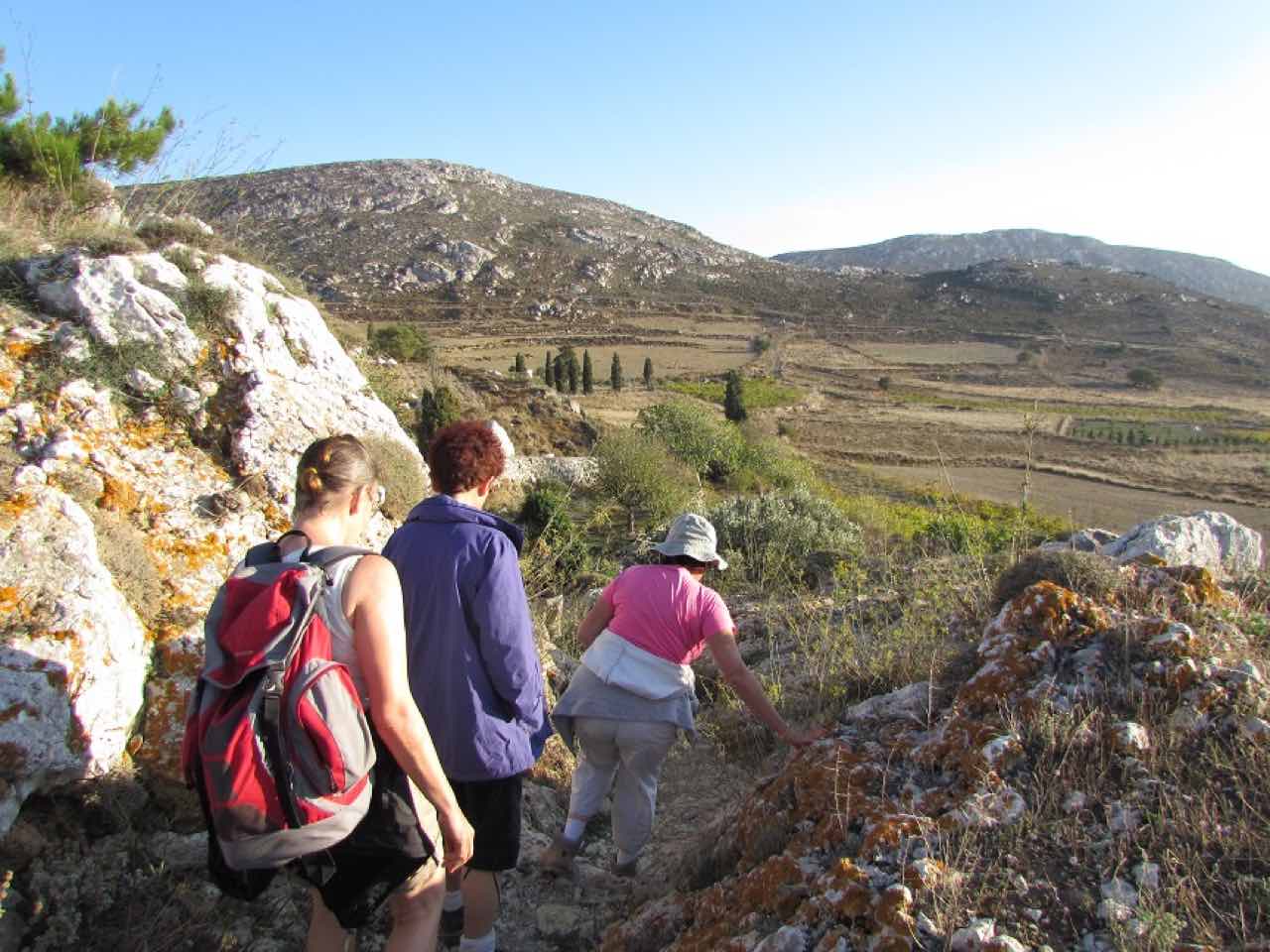 Wild Herbs Of Crete In Sitia Region, Use In Medicine & Gastronomy, wild herbs history tour, activity sitia crete, activities crete, indigenous herbs workshop tour, Petassos - Travellers with a purpose, alternative activities crete, things to do crete, nature and herbs