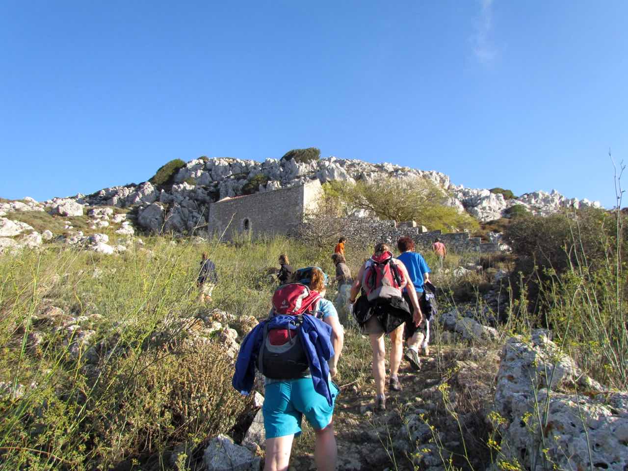 Wild Herbs Of Crete In Sitia Region, Use In Medicine & Gastronomy, wild herbs history tour, activity sitia crete, activities crete, indigenous herbs workshop tour, Petassos - Travellers with a purpose, alternative activities crete, things to do crete, nature and herbs