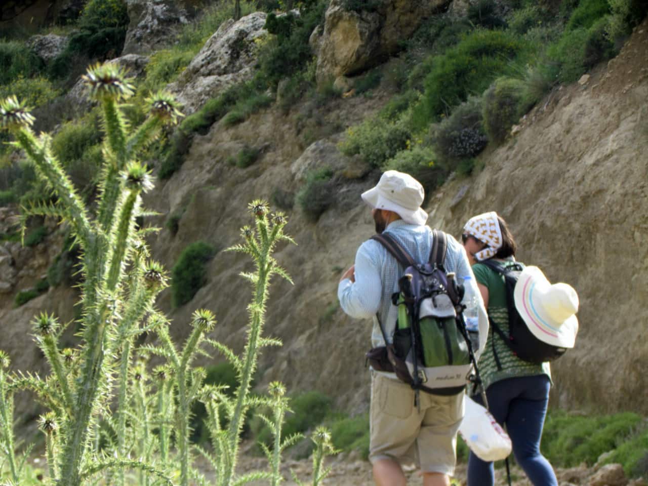 Walking Tour & Visiting Ancient Olive Tree Kavousi Crete, azoria ancient city crete, kavousi village activities, crete alternative activities, things to do crete, ancient olive tree greece europe, trekking Natura landscape, archeological site of Azorias, visiting old kafenio crete