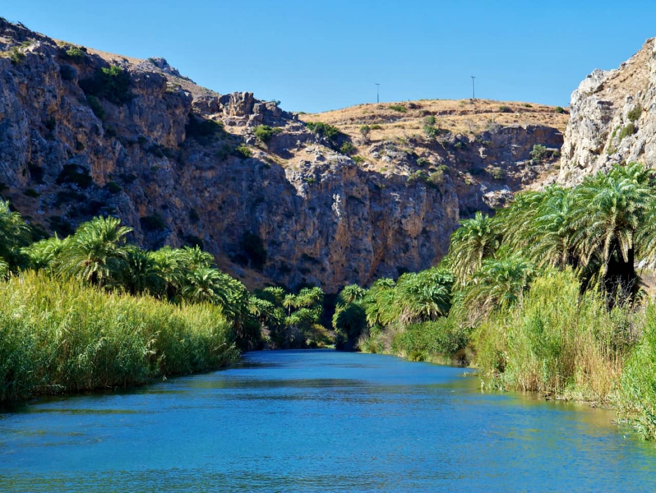 River Trek Palm Forest Of Preveli South Rethimno, hiking tour moni preveli, hiking trekking tour preveli rethimno, activities south rethymno, monastery preveli visit tour, best activity south rethimno crete, crete activities, kourtaliotiko gorge preveli south rethimno