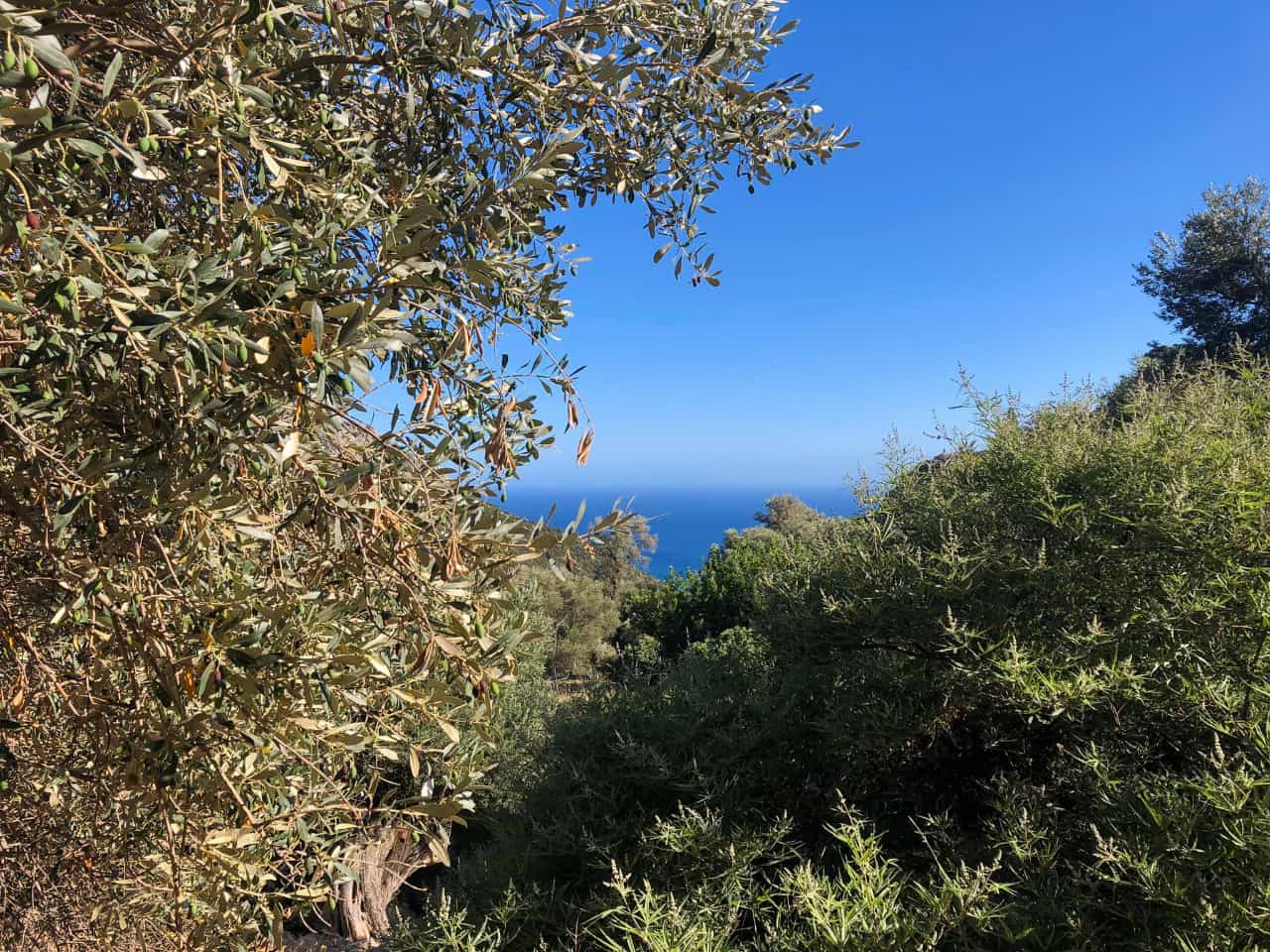 Full-Day Hiking Trip In South Chania Azogires - Anidri - Gialiskari Beach, hiking paleochora chania, hiking south chania crete, hiking trip cretan villages monasteries, best hiking trips chania crete, best activities chania