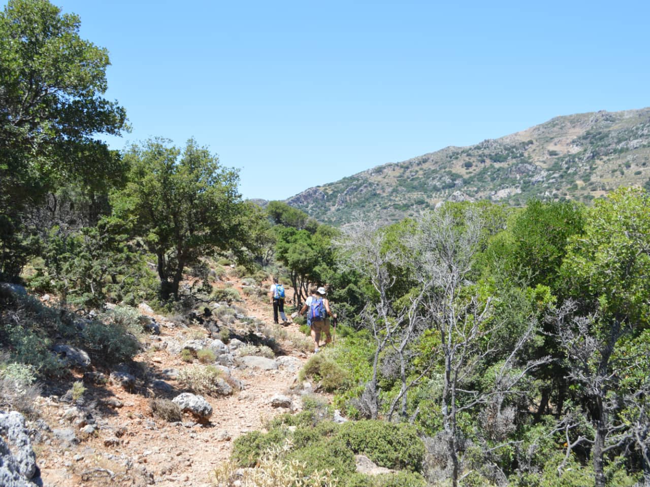 Full-Day Hiking Trip In South Chania Azogires - Anidri - Gialiskari Beach, hiking paleochora chania, hiking south chania crete, hiking trip cretan villages monasteries, best hiking trips chania crete, best activities chania