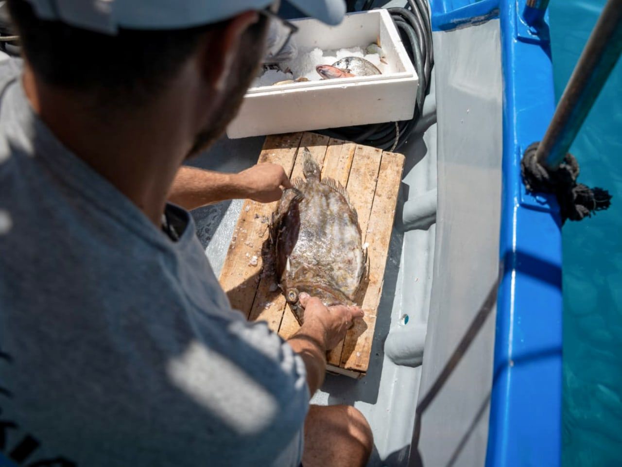 sfakia fishing, sfakia fishing tour, sfakia fishing with a local, local fisherman chania, fishing adventure south chania, sfakia chania crete, crete travel, first time in crete, best local fish sfakia, sfakia loutro fishing, agios pavlos fishing, the crete you are looking for