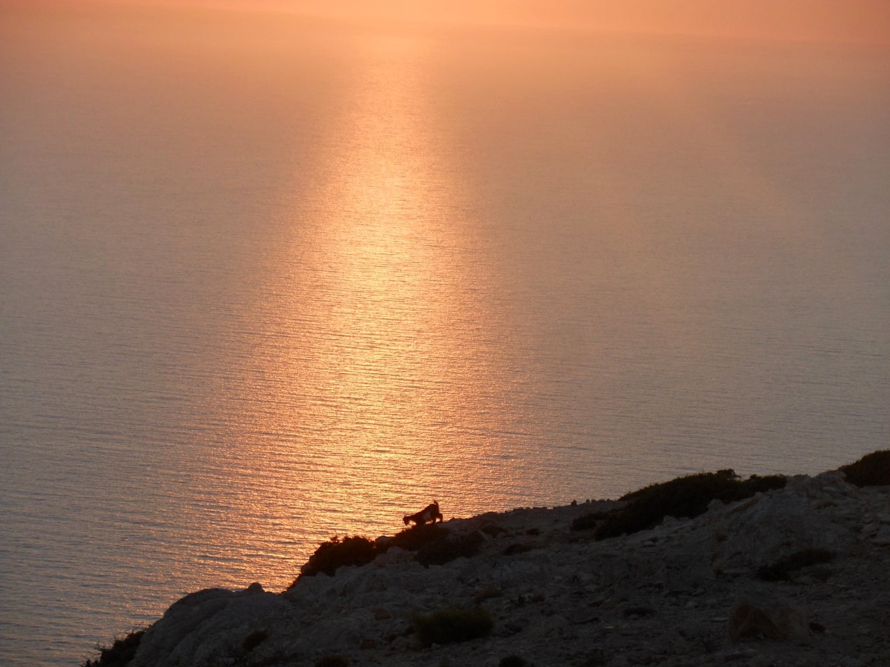 Gavdos Island Boat Round Trip, best boat trip to gavdos island, best boat trips sfakia crete, south chania activities, south chania, things to do sfakia chania, explore the island of gavdos, daily cruise gavdos island