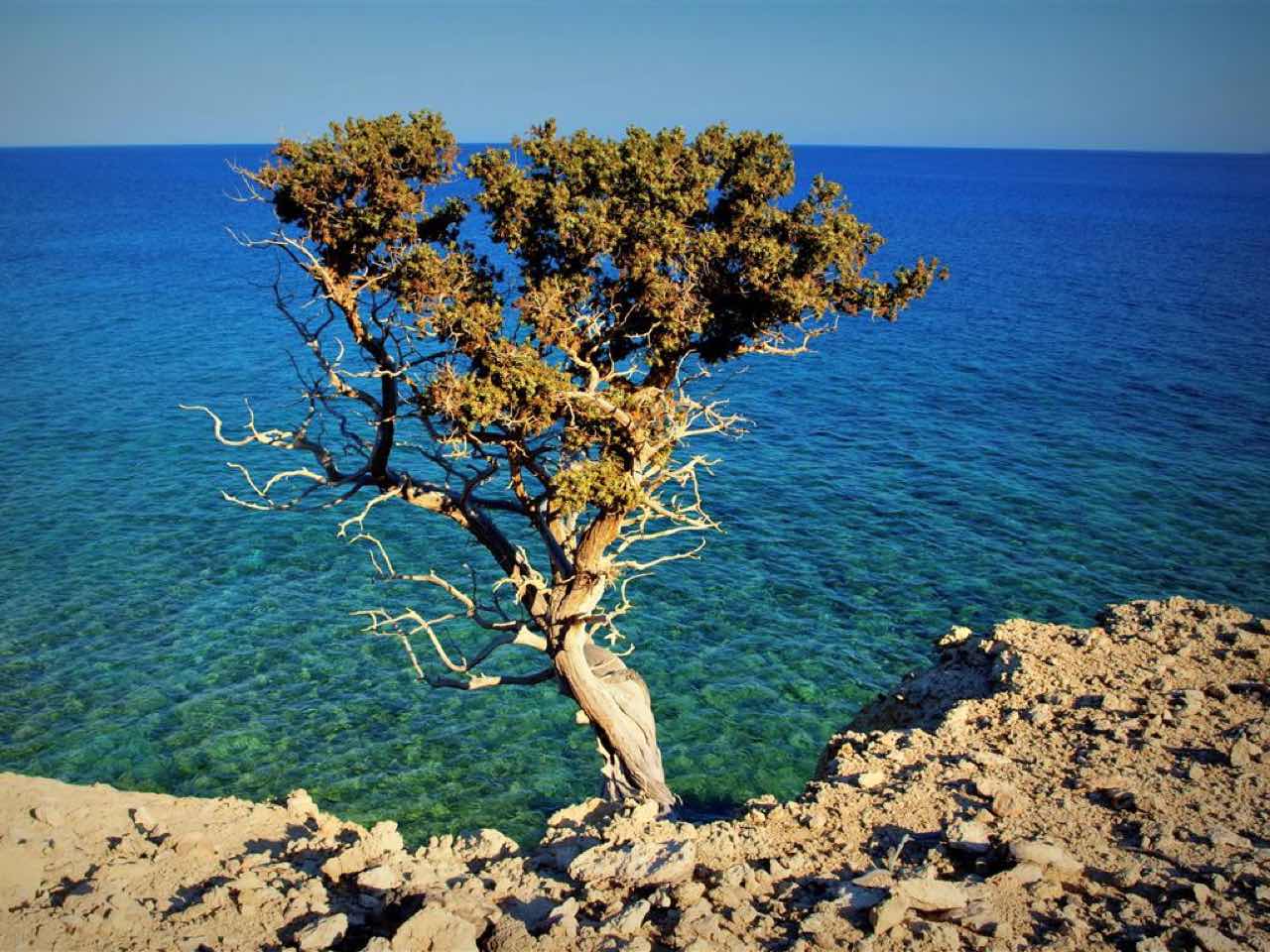 Gavdos Island Boat Round Trip, best boat trip to gavdos island, best boat trips sfakia crete, south chania activities, south chania, things to do sfakia chania, explore the island of gavdos, daily cruise gavdos island