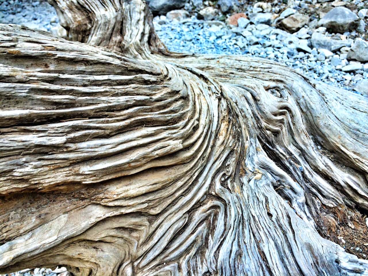 imbros gorge chania crete, imbros gorge sfakia crete, imbros gorge hiking crete, activities chania crete