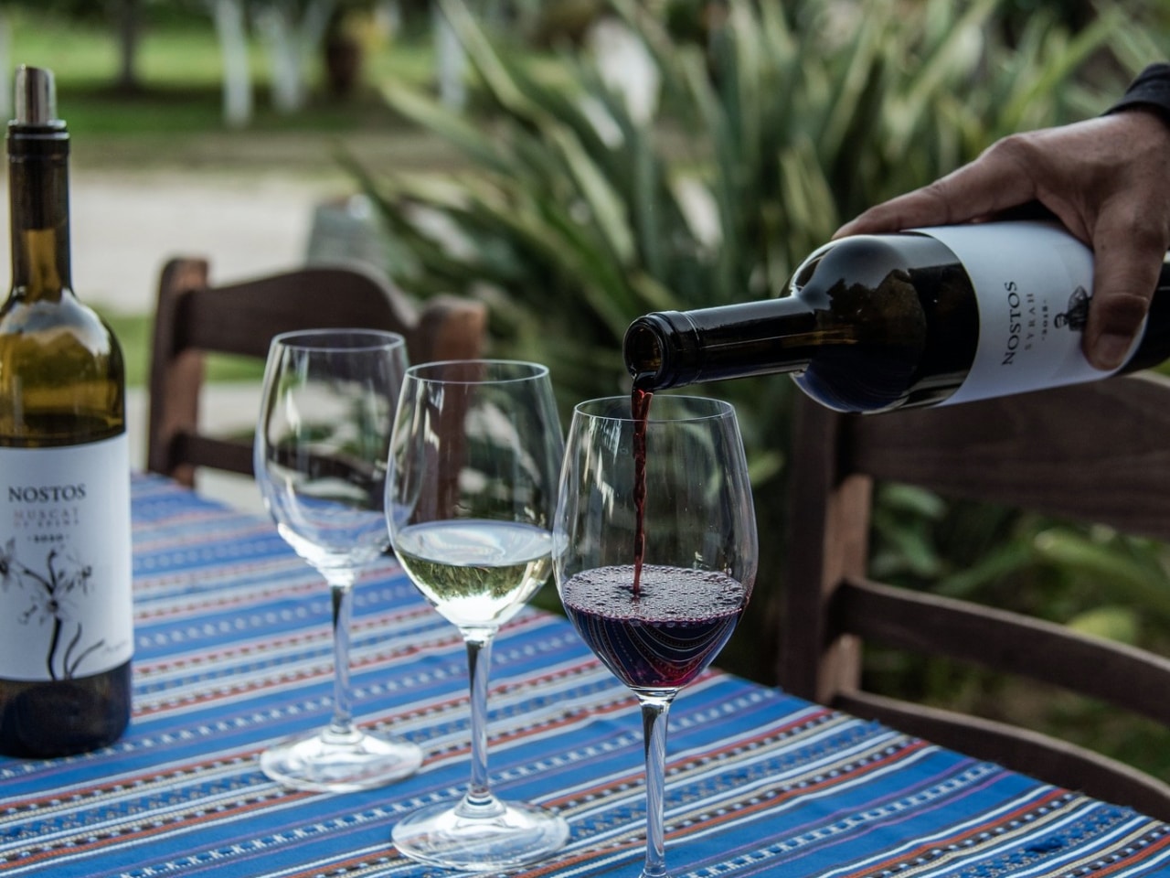 winery tours, wine tasting manousakis winery chania crete, winery visit manousakis winery, bio organic wine chania crete, vineyard tours, bio wine food tasting chania crete, best organic winey crete greece, Organic, boutique winery handcrafted wine, nostos wines chania crete
