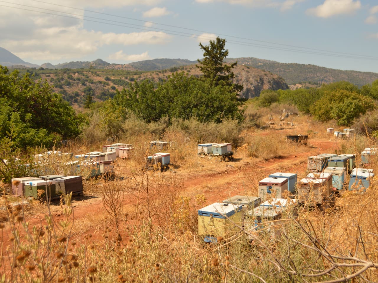 Hiking Tour In Picturesque Villages of Apokoronas, maheri village hiking tour, paidochori village hiking tour, neo chorio village hiking tour, apokoron villages best hiking tour, activities chania crete