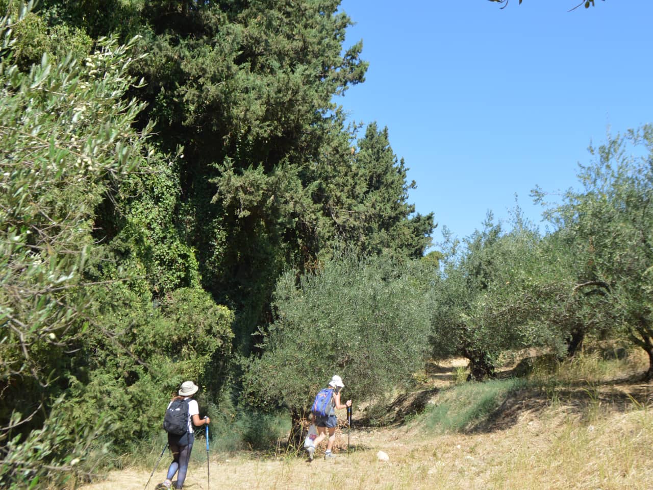 Hiking Tour In Picturesque Villages of Apokoronas, maheri village hiking tour, paidochori village hiking tour, neo chorio village hiking tour, apokoron villages best hiking tour, activities chania crete