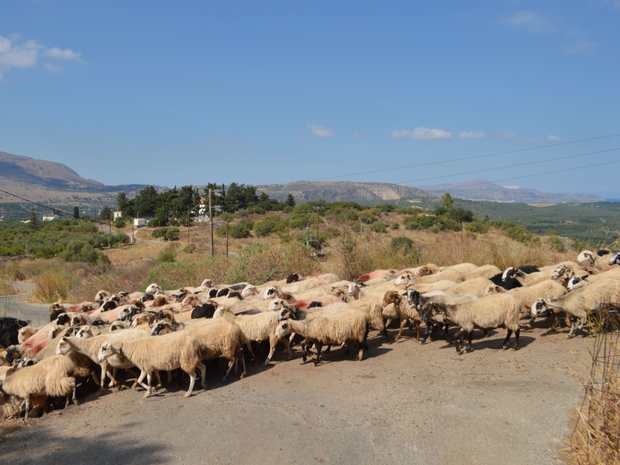 Hiking Tour In Picturesque Villages of Apokoronas, maheri village hiking tour, paidochori village hiking tour, neo chorio village hiking tour, apokoron villages best hiking tour, activities chania crete