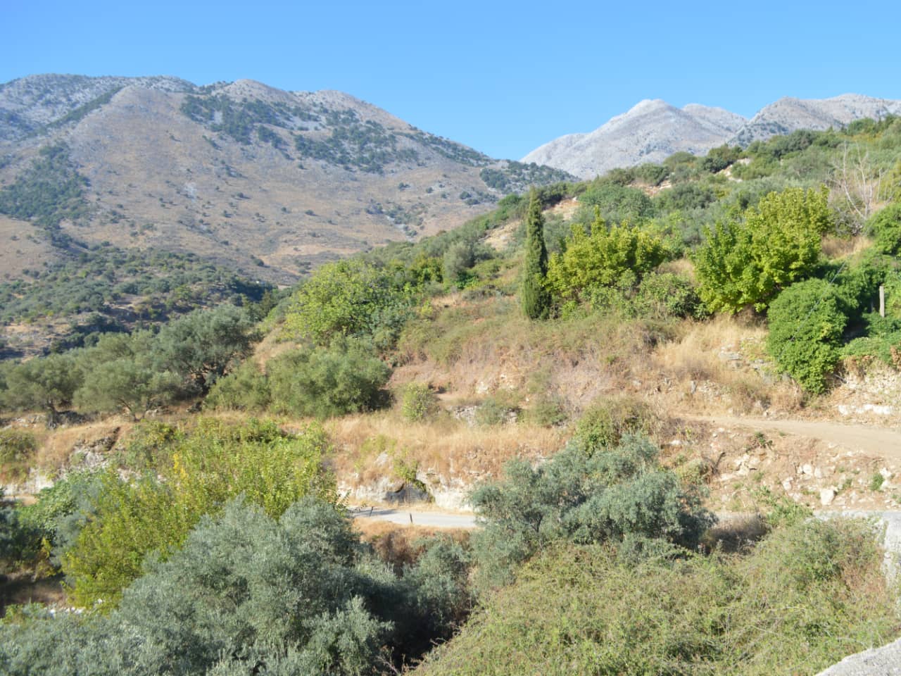 Half-Day Hiking Tour Kournas Village & Azilakas Path, hiking trekking crete activities, oak forest azilakas hiking, best activities chania crete, kournas lake village hiking tour, azilakas forest path crete, best hiking tours chania