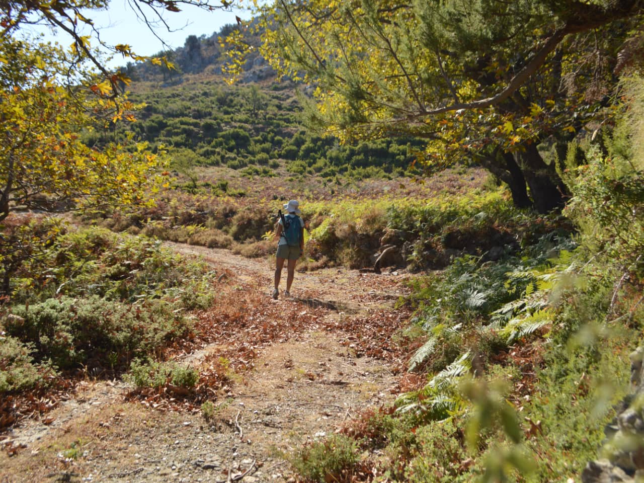 Half-Day Hiking Tour Kournas Village & Azilakas Path, hiking trekking crete activities, oak forest azilakas hiking, best activities chania crete, kournas lake village hiking tour, azilakas forest path crete, best hiking tours chania