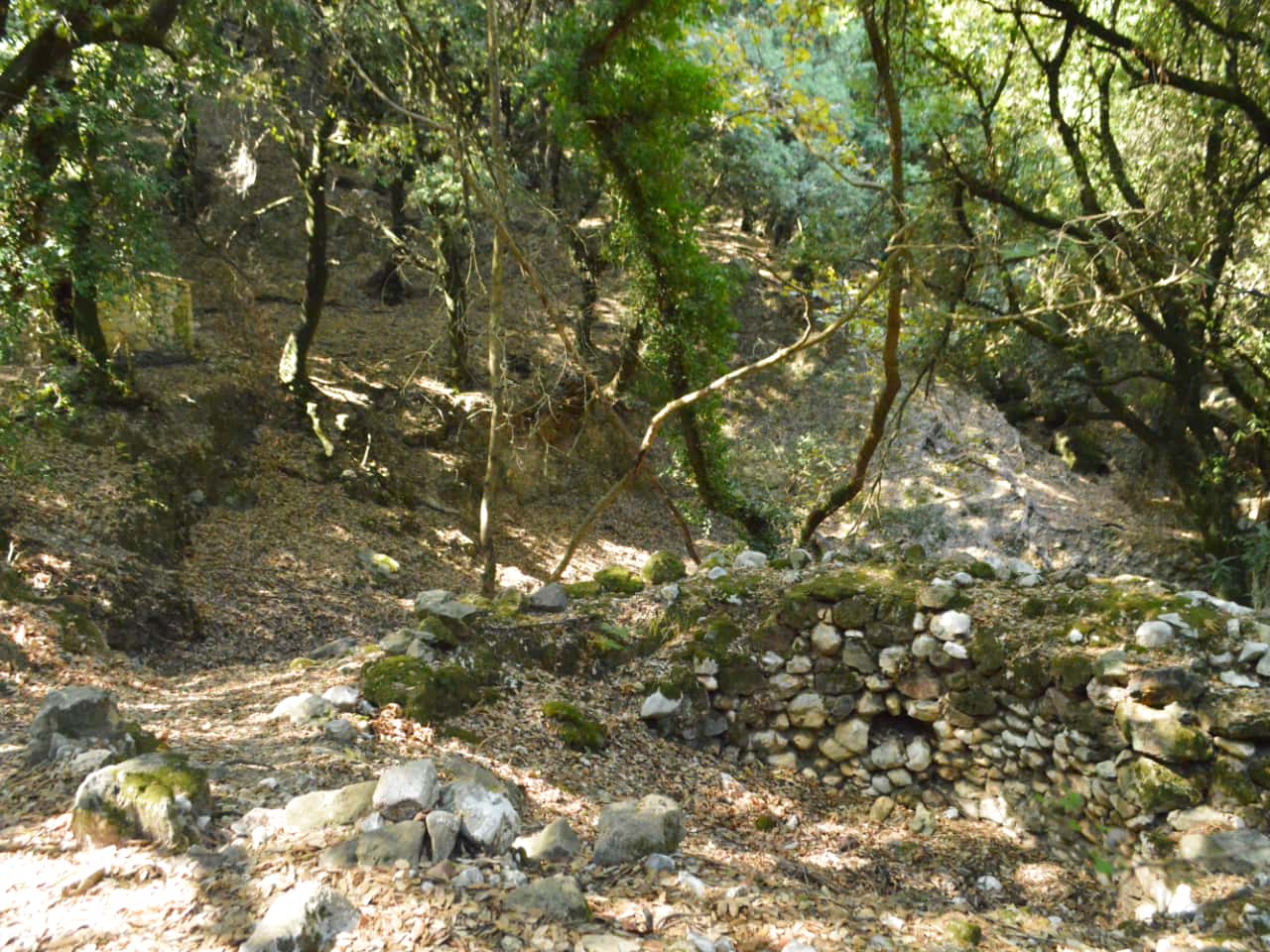 Half-Day Hiking Tour Kournas Village & Azilakas Path, hiking trekking crete activities, oak forest azilakas hiking, best activities chania crete, kournas lake village hiking tour, azilakas forest path crete, best hiking tours chania